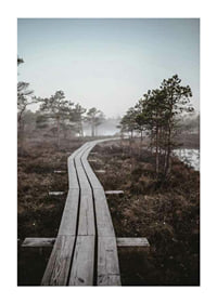 Photograph of wooden bridge in foggy swamp landscape outside Riga-1