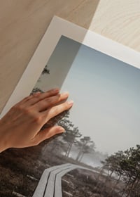 Photograph of wooden bridge in foggy swamp landscape outside Riga-9