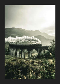 Photograph of train on Glenfinnan Viaduct in green valley-5
