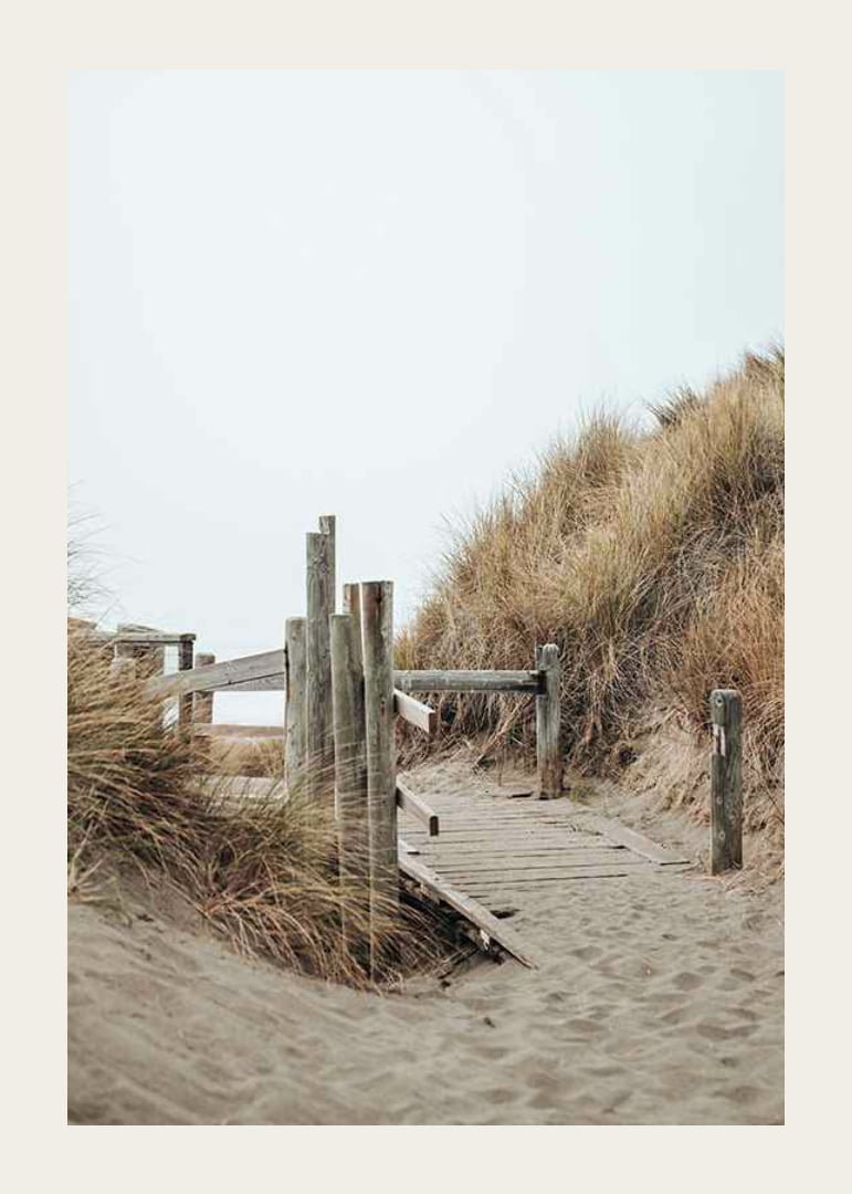 Photograph of wooden boardwalk through sand dunes down to the beach-12