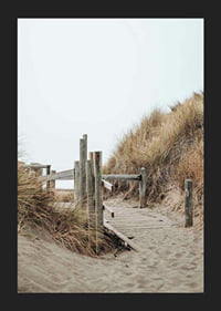 Photograph of wooden boardwalk through sand dunes down to the beach-5