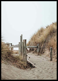 Photograph of wooden boardwalk through sand dunes down to the beach-6