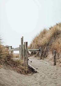 Photograph of wooden boardwalk through sand dunes down to the beach-7