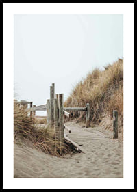 Photograph of wooden boardwalk through sand dunes down to the beach-0