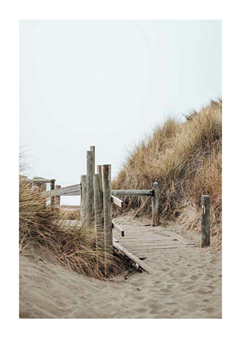 Poster Beach Entrance