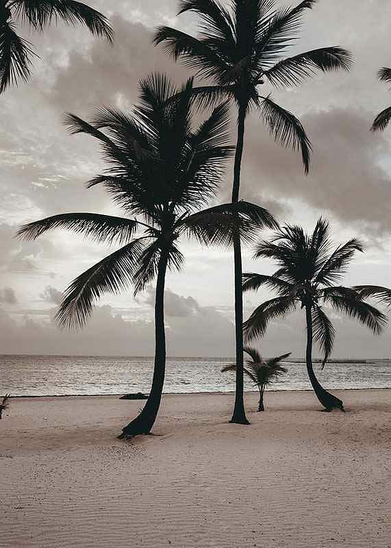 Ngapali Beach-12