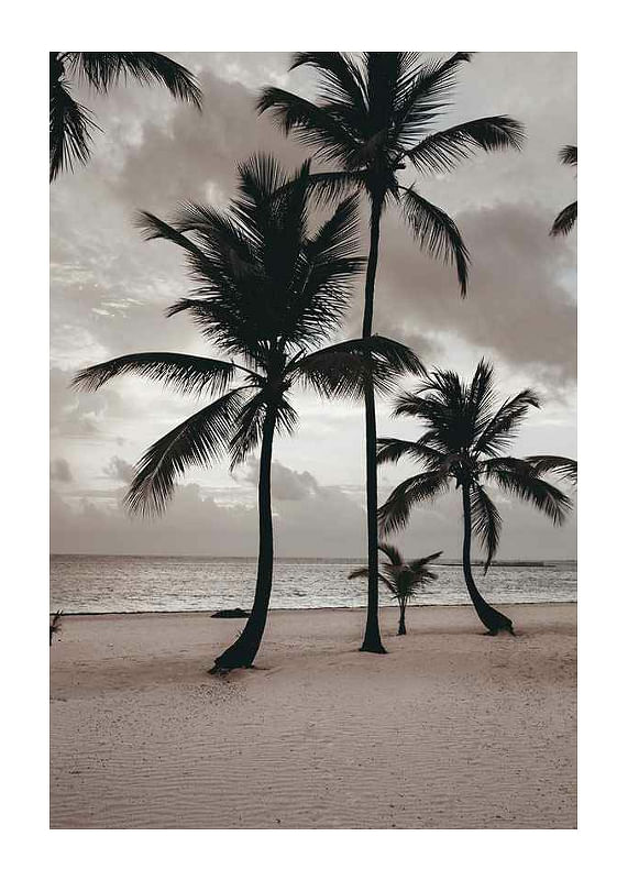 Plagát Ngapali Beach
