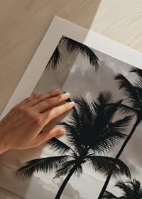 Fotografi av palmer på sandstrand mot hav och molnig himmel-9