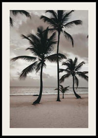 Fotografia di palme su una spiaggia sabbiosa contro il mare e il cielo nuvoloso-2