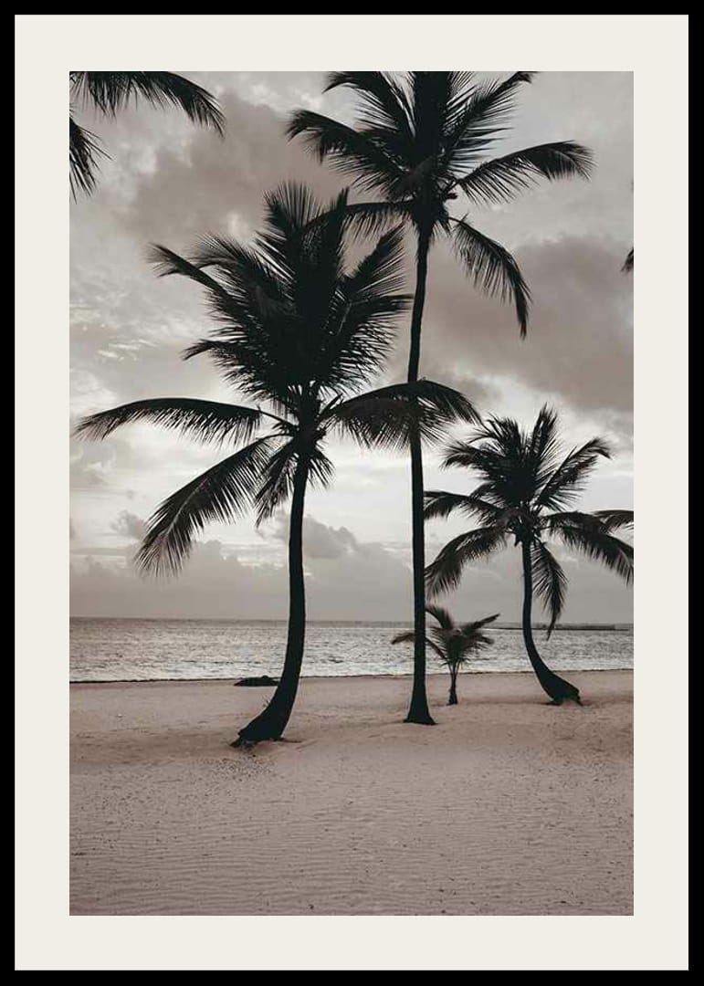 Fotografia di palme su una spiaggia sabbiosa contro il mare e il cielo nuvoloso-12