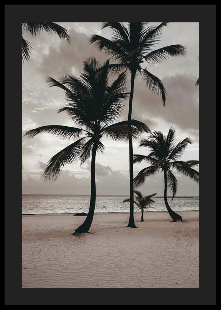 Fotografia di palme su una spiaggia sabbiosa contro il mare e il cielo nuvoloso-12