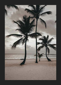 Fotografia di palme su una spiaggia sabbiosa contro il mare e il cielo nuvoloso-5