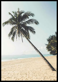 Leaning Palm-2