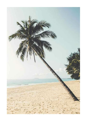 Póster Leaning Palm