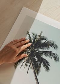 Leaning Palm-5