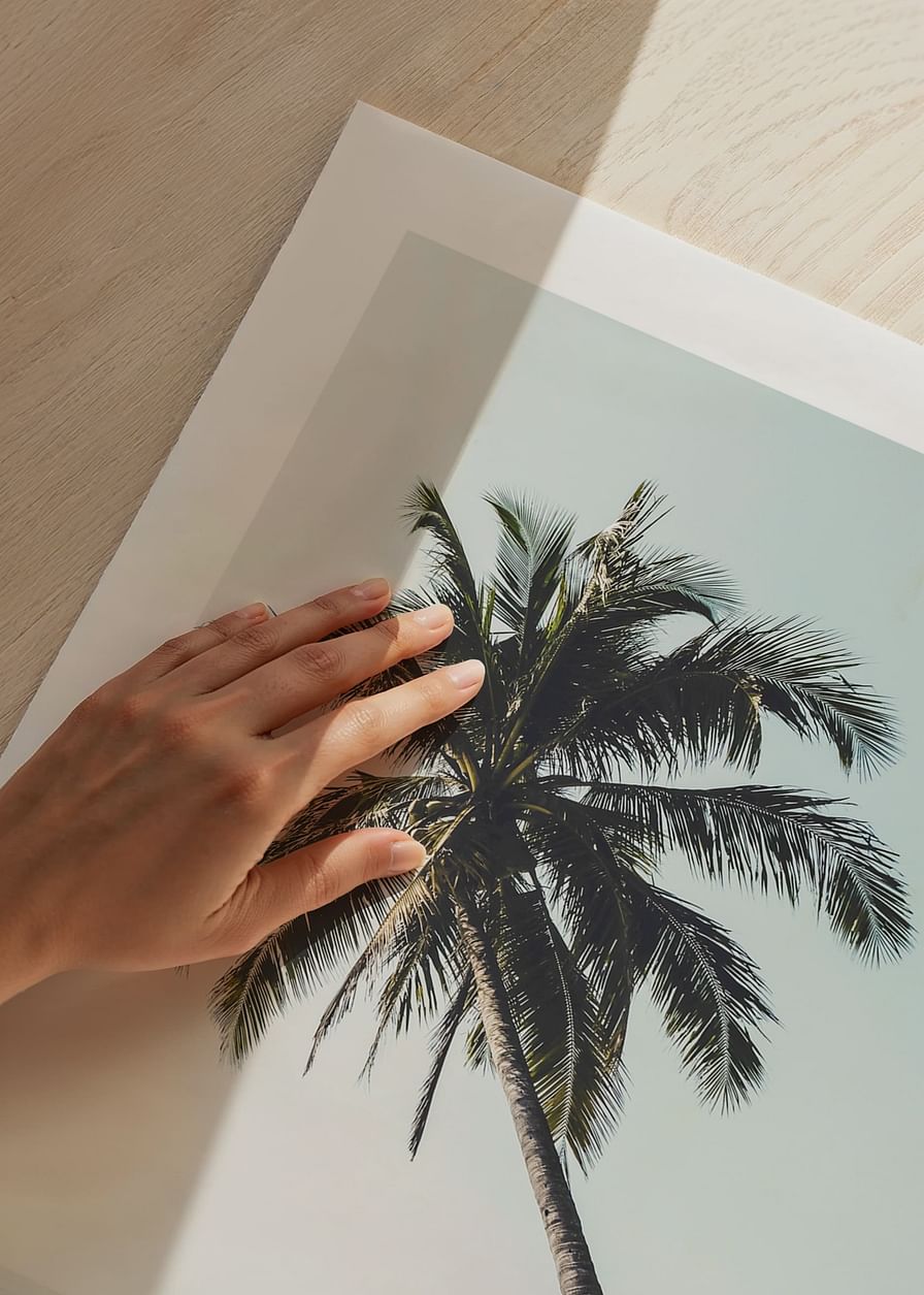 Leaning Palm-12