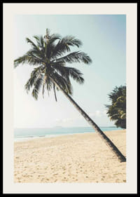 Fotografía de una palmera inclinada en una playa de arena junto al mar.-2
