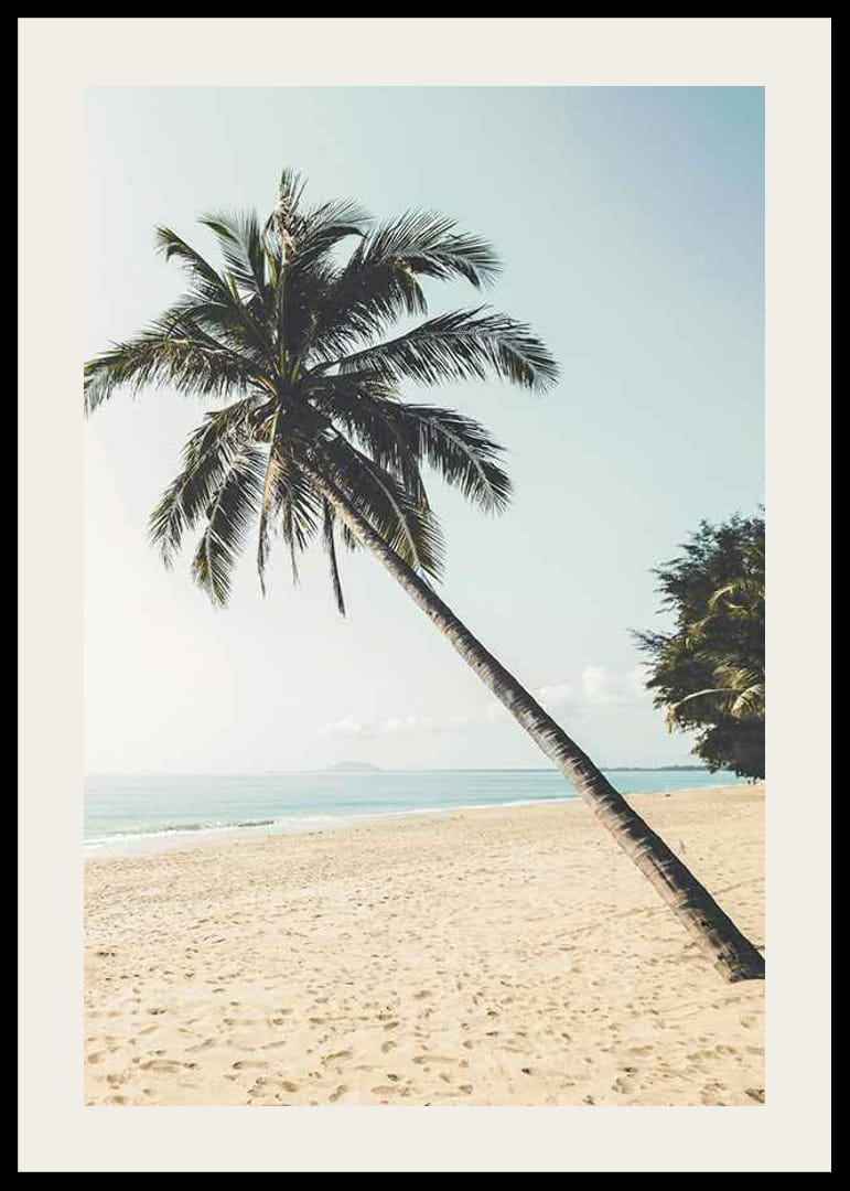 Fotografía de una palmera inclinada en una playa de arena junto al mar.-12