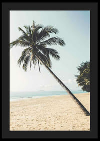 Fotografía de una palmera inclinada en una playa de arena junto al mar.-4