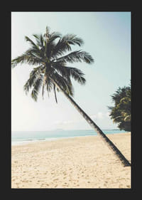 Fotografía de una palmera inclinada en una playa de arena junto al mar.-5