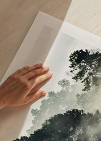Sűrű lucfenyőerdő fényképe napsugarakkal és köddel-9