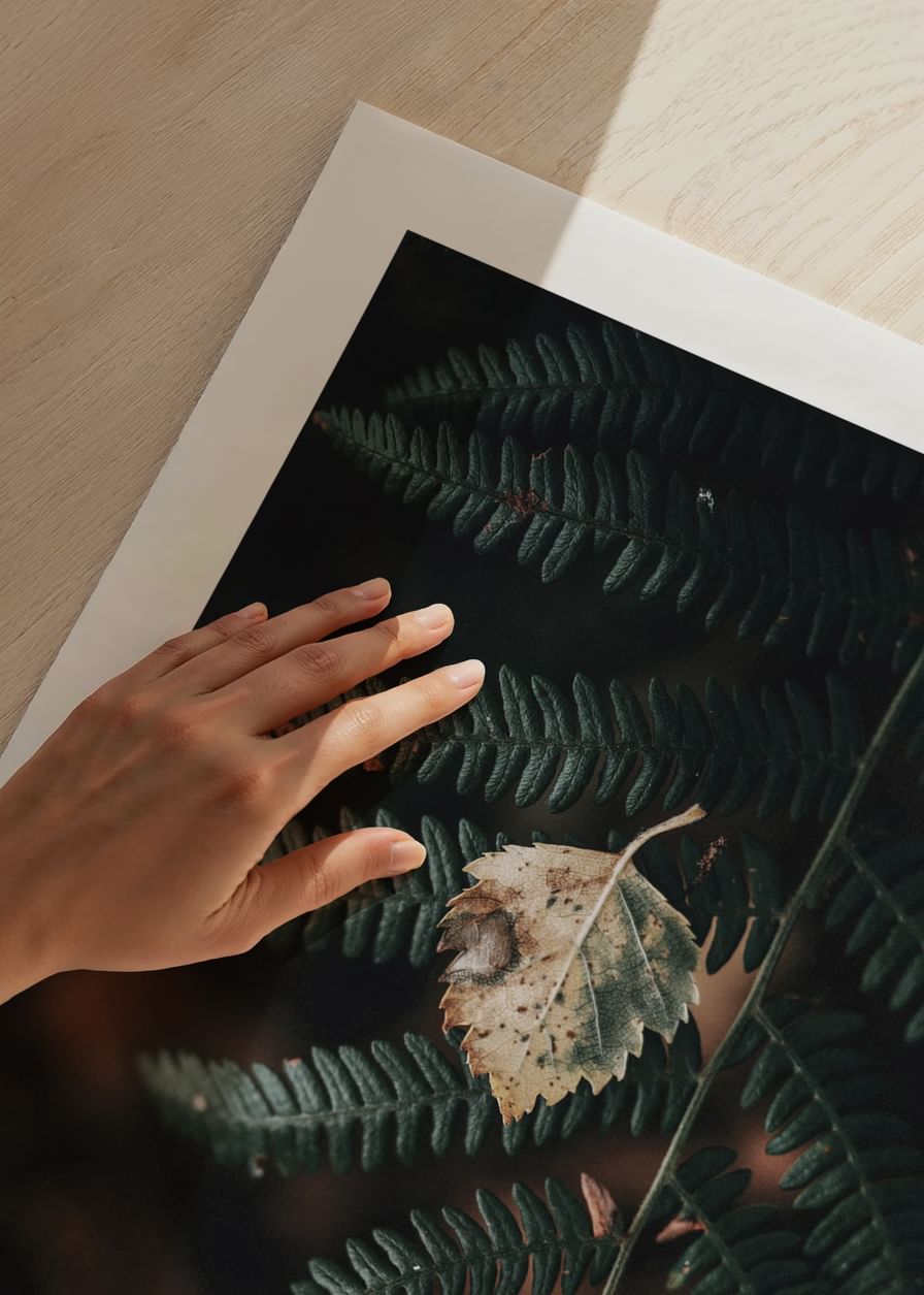 Fern No1-12