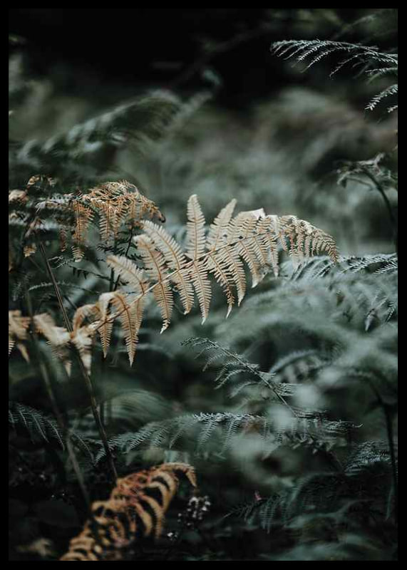 Close-up of fern leaves in green and beige tones, photography-12