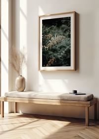 Fern No2-4
