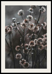 Szárított erdei virágok közeli képe barna őszi tónusokban-2