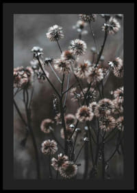 Szárított erdei virágok közeli képe barna őszi tónusokban-4