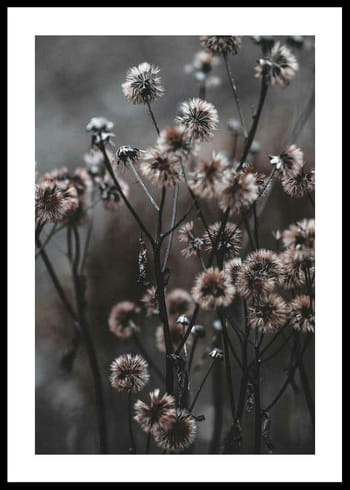 Póster Forest Flowers