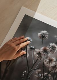 Forest Flowers-5