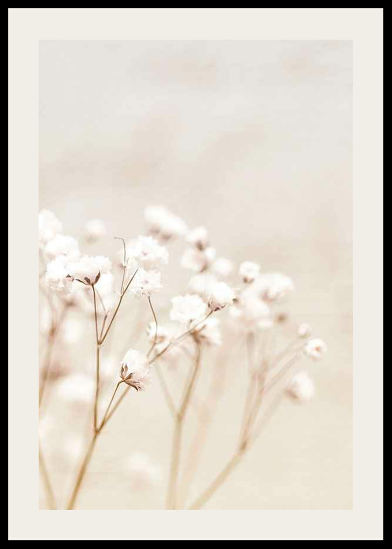 Närbild av vita brudslöja-blommor mot beige bakgrund-12
