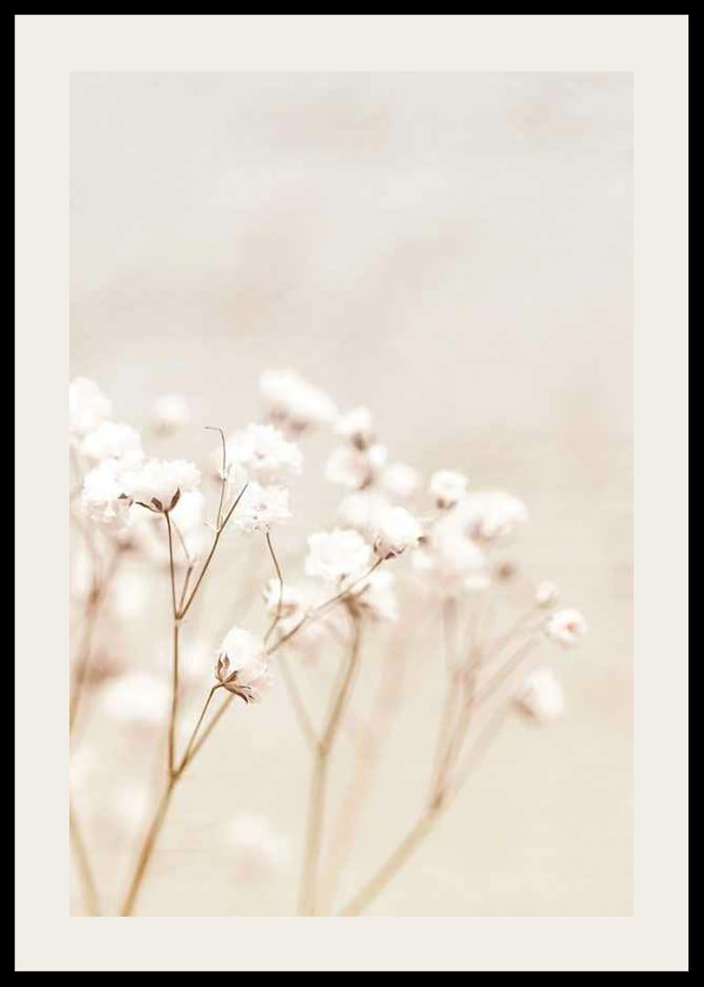 Close-up of white bridal veil flowers against beige background-12