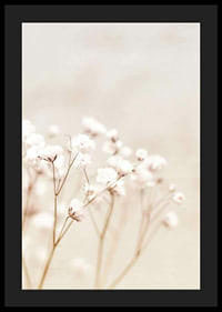 Närbild av vita brudslöja-blommor mot beige bakgrund-4