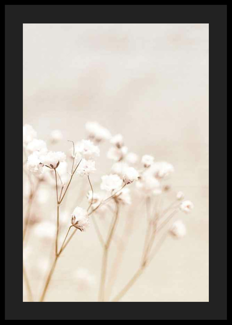 Närbild av vita brudslöja-blommor mot beige bakgrund-12