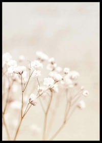 Bright Flowers-2