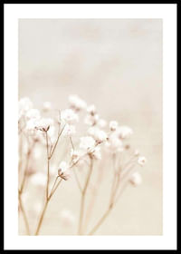 Bright Flowers-0
