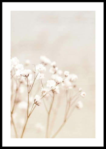 Poster Bright Flowers