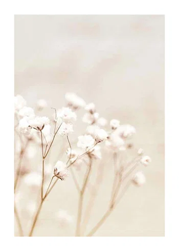 Poster Bright Flowers