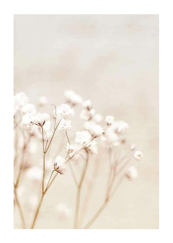 Bright Flowers-12