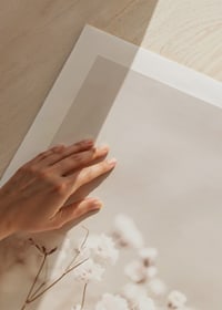Närbild av vita brudslöja-blommor mot beige bakgrund-9