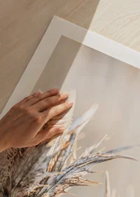 Close-up photograph of dried thistles against a light background-9