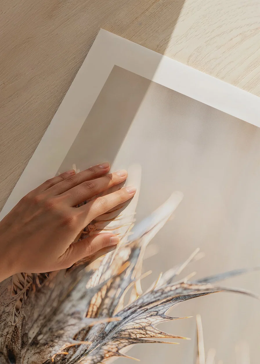 Close-up photograph of dried thistles against a light background-12