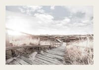 Photographie d'une passerelle en bois traversant des dunes de sable et d'herbe en contre-jour-3