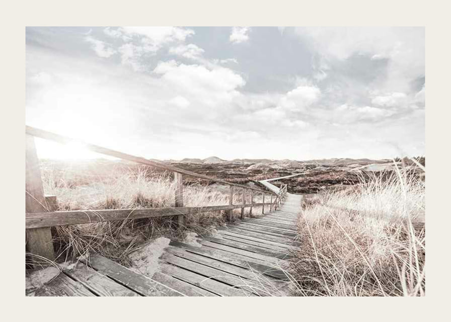 Photographie d'une passerelle en bois traversant des dunes de sable et d'herbe en contre-jour-12