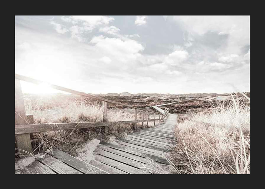 Photographie d'une passerelle en bois traversant des dunes de sable et d'herbe en contre-jour-12