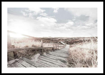 Poster Amongst Grass