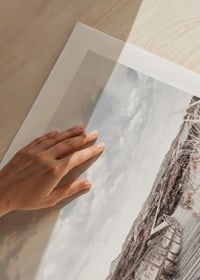 Fotografi av träspång genom sandiga gräsdyner i motljus-9