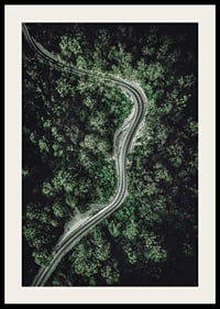 Aerial view of winding road through dense green forest, photographic-2